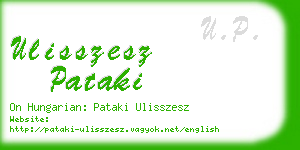 ulisszesz pataki business card